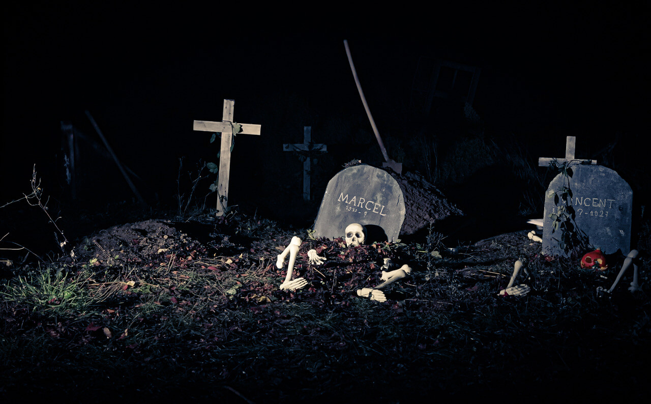 Promotional Picture n°6