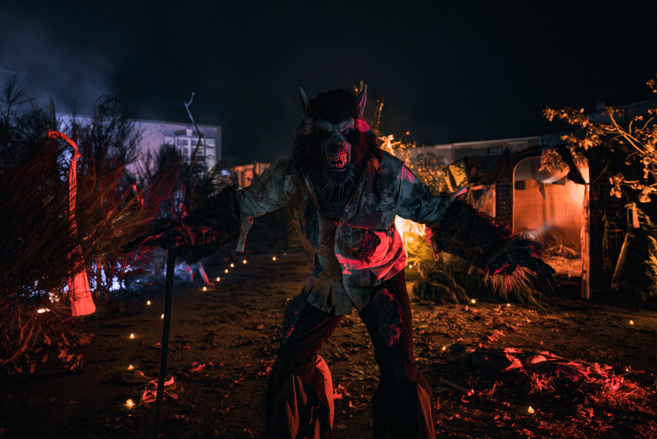 Promotional Picture n°1